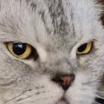 Randall Randy Stone - @randystone5190 - Instagram