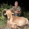 Randall Stone - @randall.stone7 - TikTok