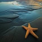 Randall Strother - @randallstrother - Instagram