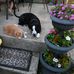 Randy Strunk - Facebook