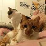 🍄Randall & Sullivan🍄 - @raansull_226 - Instagram