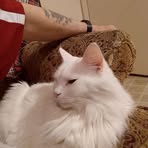Randall Sullivan - Facebook