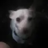 Randall Terry - @randall.terry3 - TikTok