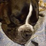 Terry Randall - @randall.terry - Instagram