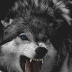 Randy Tharp - Facebook