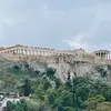 randallturkey - @randallturkey - TikTok