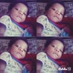 Randall Webster - @websterrandall - Instagram