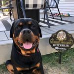 Randall Webster - @randallwebster70 - Instagram