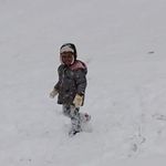 Randall Wheeler - @randallwheeler352 - Instagram