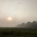 Randall patrick whitaker - @rpv1111 - Instagram