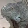 Got hacked lol - @randallwhitney - TikTok
