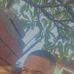 Randall Rizzy Willard - Facebook