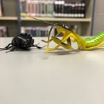 Winston And Randall - @winstonandrandall - Instagram
