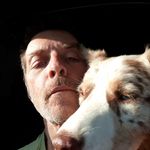 Randall Wolfe - @wolferandallw900l - Instagram