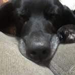 Randy Wolfe - Facebook