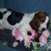 Randee Taylor - Facebook