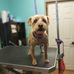 Randy Blake - Facebook