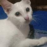 randi bos - @randi_boss12 - Instagram
