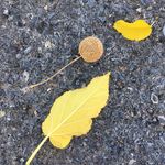 Randi Brewer - @rlbdailywalks - Instagram