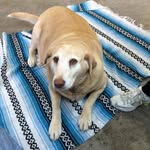 Randy Bruce - @randy.bruce.37604303 - Instagram