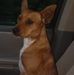 Randy Randy Coleman - Facebook