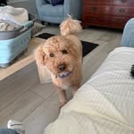 Randi Cramer - @randi_cramer - Instagram