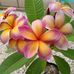 Randy Epstein - Facebook