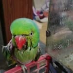 Randi Gill Randi Gill - @randigillrandigill - Instagram