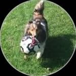 Randi Gralla - @randiig731 - Instagram