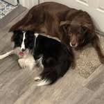 Randi Gralla - @randig731 - Instagram