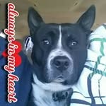 Randy Hurst - @mr.hurst2017 - Instagram