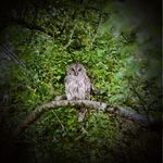 Randy Jacobson - @randy.jacobson.315 - Instagram