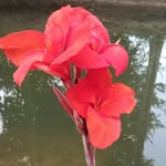Kahna Marandi - @kahnamarandi - Instagram