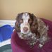 Randi Keith - Facebook