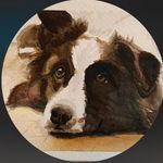 Randi larson - @webile7312 - Instagram