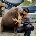 Randi Levine - @randi_levine85 - Instagram