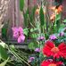 Randi Marshak - Facebook