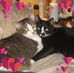 Randi McDaniel - Facebook
