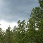 Randy Morrow - @randy.morrow.50 - Instagram