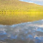 Randy Moser - @randy.head.58 - Instagram