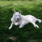 Randy Moser - @randy.moser.73 - Instagram