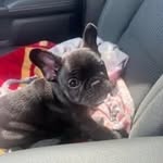 Randy A Pollack - @randy.pollack - Instagram