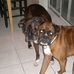 Randy Pollack - Facebook