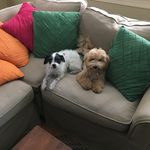 Randy Ring - @ring.randy - Instagram