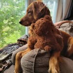 Randy Roberts - @randy_roberts - Instagram