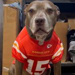 Randy Sheppard - @jetksu - Instagram