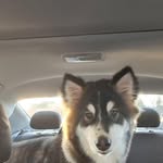 Randi Stephens - @stephens.ra8850 - Instagram