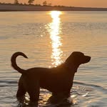 Randi Cooper Weiss - @randicooperweiss - Instagram