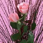 Randi Weiss - Facebook