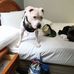Randy Welch - Facebook